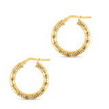 Swirl Sparkly Hoops